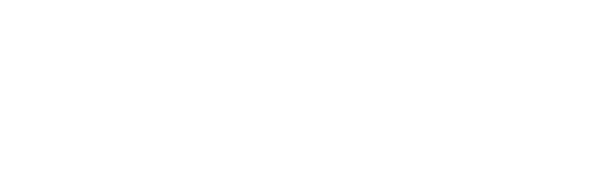 Bacher Systems logo